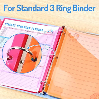 Modern Forvencer 8 Count Dividers with Two Pockets, 8 Essentials